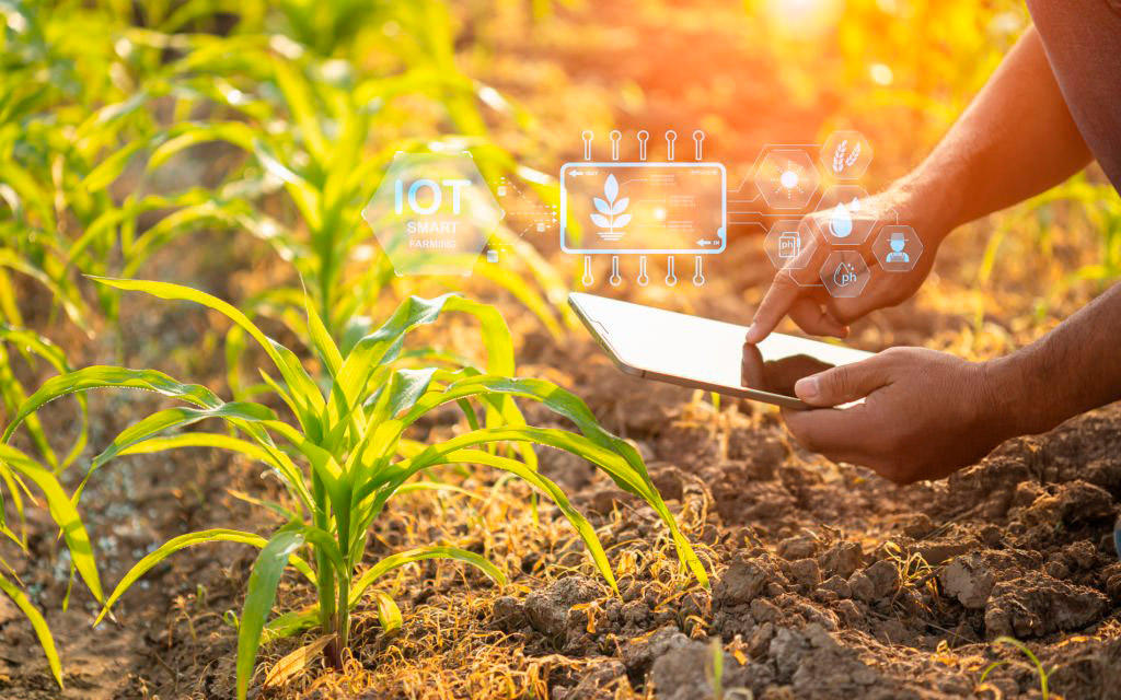 Imagen representativa de la Misión